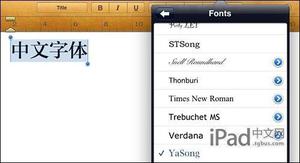 更换iPad默认字体和字典让iBooks可以选择中文字体