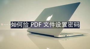 Mac电脑如何给PDF文件设置密码？