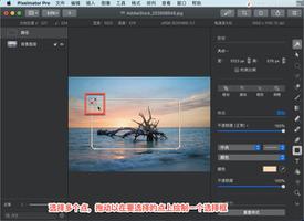 Pixelmator Pro?教程「209」，如何在 Pixelmator Pro?中向矢量路径添加或删除点？