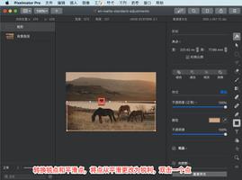 Pixelmator Pro?教程「210」，如何在 Pixelmator Pro?中转换锐点和平滑点？