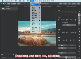 Pixelmator Pro?教程「204」，如何在 Pixelmator Pro?中移动、复制选择区域？