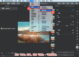 Pixelmator Pro?教程「196」，如何在 Pixelmator Pro?中使用磁性选区工具？