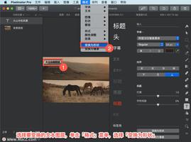 Pixelmator Pro?教程「171」,如何在 Pixelmator Pro?中将文本变换为形状或像素图层?