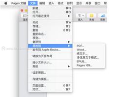 使用Pages for mac如何将文件转换成word格式？