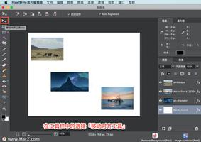PixelStyle 教程「14」,如何在 PixelStyle 中使用移动对齐工具?