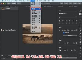 Pixelmator Pro?教程「162」，如何在 Pixelmator Pro?中使用绘画工具？