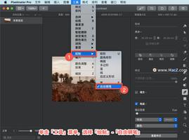 Pixelmator Pro?教程「207」，如何在 Pixelmator Pro?中使用自由钢笔工具绘制路径？