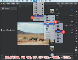 Pixelmator Pro?教程「137」，如何在 Pixelmator Pro?中应用?点状化效果？