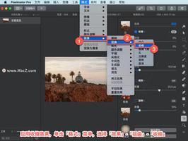 Pixelmator Pro?教程「107」，如何在 Pixelmator Pro?中应用收缩效果？