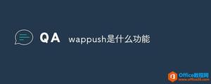 wappush是什么功能