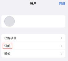 iPhone 14 系列机型如何管理 App Store 购买项目、订阅等设置？