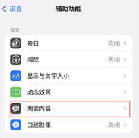 iOS 16 小技巧：让 iPhone 朗读屏幕上的内容或所选择的文本