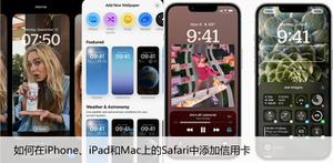 如何在iPhone、iPad和Mac上的Safari中添加信用卡