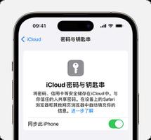 如何在 iPhone 15 系列机型中使用钥匙串？