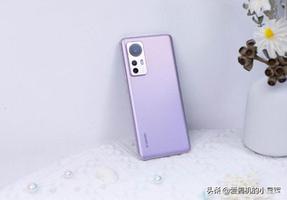 小米12和vivox80哪个好（买小米12还是vivo X80，终于有答案了）