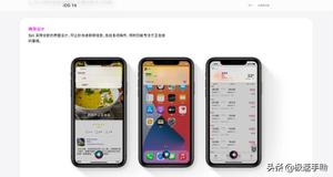 如何查询苹果手机激活时间（检测iPhone手机新机的必知技巧）