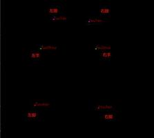 如何实现图像的坐标关键点问题?