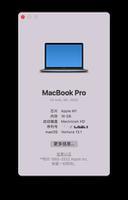 如何查看自己的 macbook pro Apple Silicon有几个 GPU 核心?