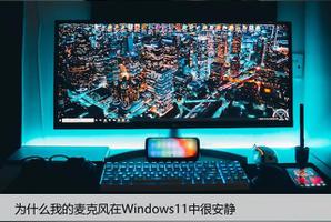 为什么我的麦克风在Windows11中很安静？6个修复尝试