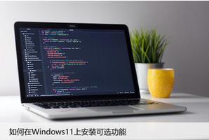 如何在Windows11上安装可选功能，简单操作方法