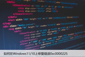 如何在Windows11/10上修复错误0xc0000225