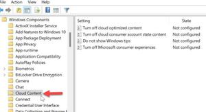 如何禁用Windows11提示和建议通知
