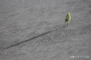 新浇的水泥地面多久浇一次水（新做的水泥地面养护时间）