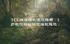 TCL抽油烟机清洗指南（5步教你轻松搞定油腻难题）