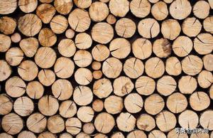 木头材质怎么辨别（鉴别木材质量的方法）